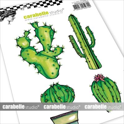 Tampon A6 : Cactus