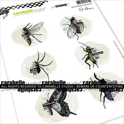 Tampon A5 : Entomologie, 6 insectes #1 by Alexi