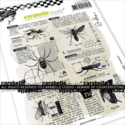 Cling Stamp A6 : Encyclopédie : Insectes by Alexi