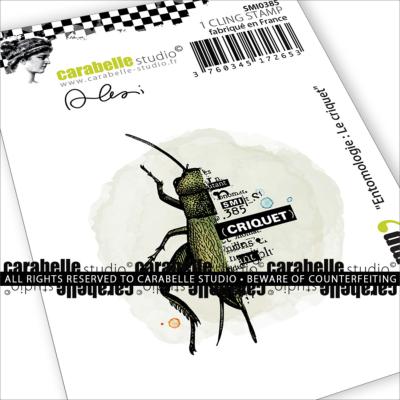 Cling Stamp Small : Entomologie : Le criquet by Alexi