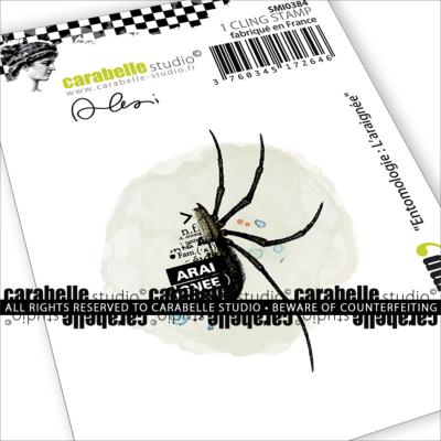 Tampon Mini : Entomologie : L’araignée by Alexi