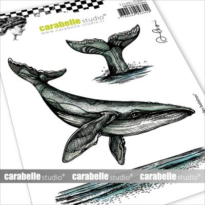 Tampon A6 : Le chant des baleines by Alexi